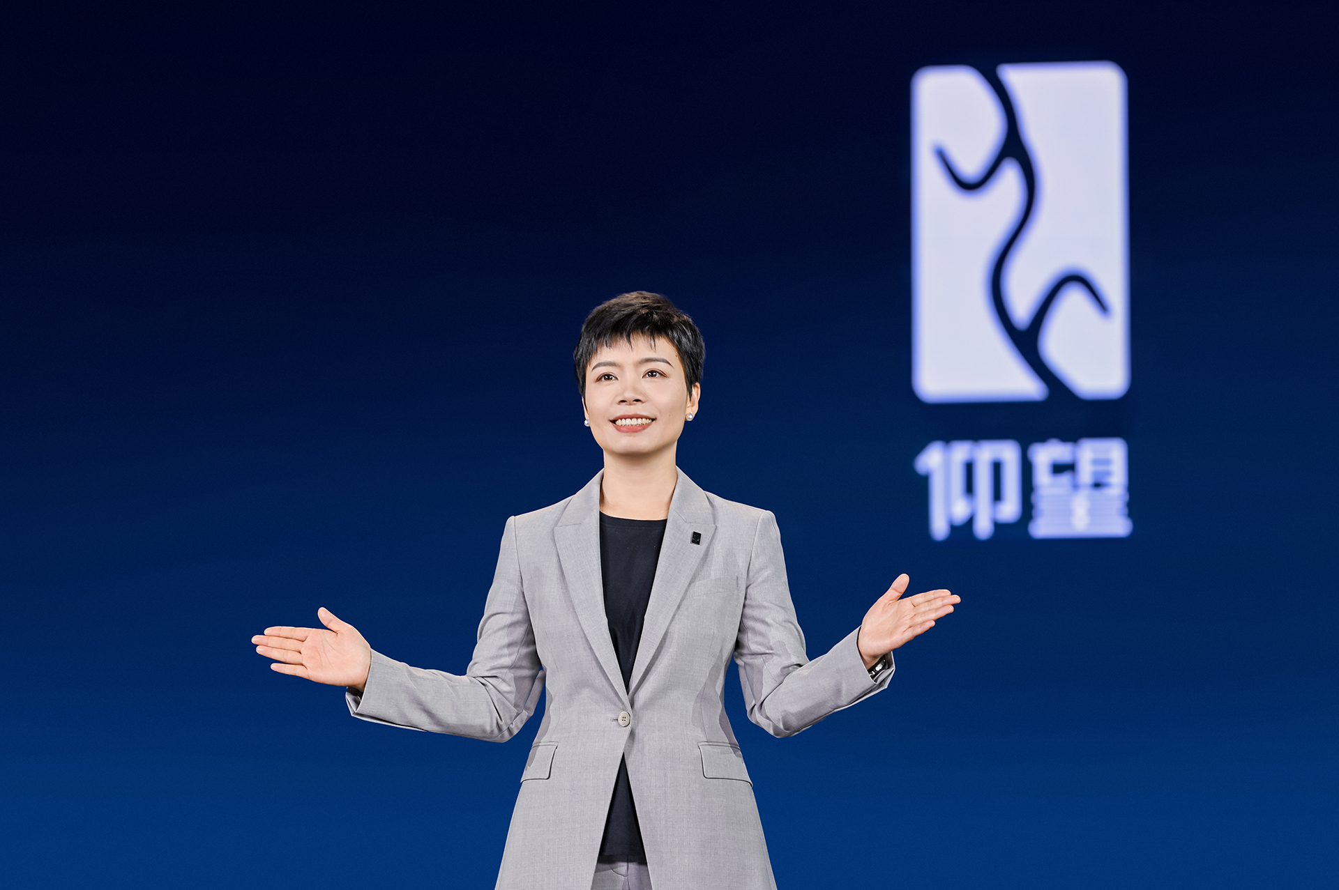 全新高端品牌“仰望”正式发布，以超级技术开拓百万级新能源市场￼